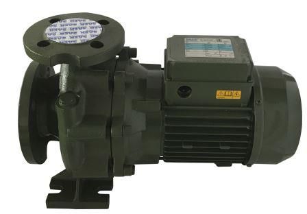 Насосный агрегат моноблочный фланцевый SAER IR 32-125A в Сочи 